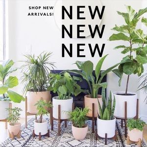 Looking for Trendy Stylish pieces?! Summer Cute!